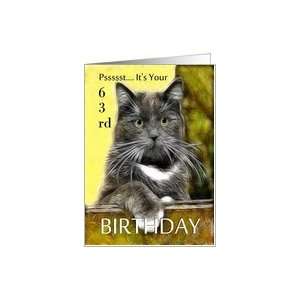  Birthday ~ Age Specific 63rd ~ Cat in a box Card Toys 