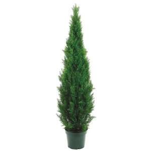 72 Cedar Topiary X2492 W/Pot (Knockdown Packing) Green  