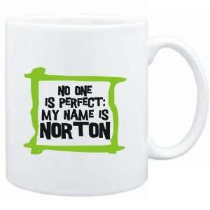   No one is perfect My name is Norton  Male Names