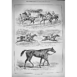    1884 Goodwood Horse Racing St. Simon Jockeys Sport