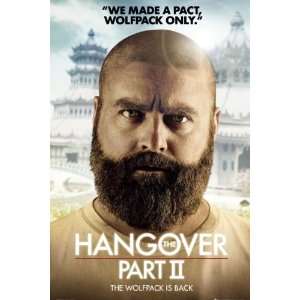  Movies Posters The Hangover II   Alan S.O.S   35.7x23.8 