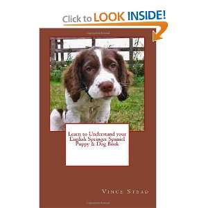  Learn to Understand your English Springer Spaniel Puppy 