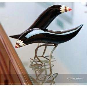  corvo torvo bird by norberto moretti 