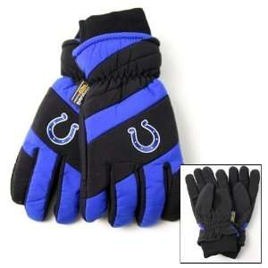   Nylon Shell Thinsulate Lined Ski Gloves Size L/XL