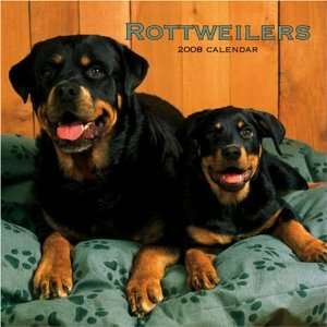  Rottweilers 2008 Square Wall Calendar (German, French 