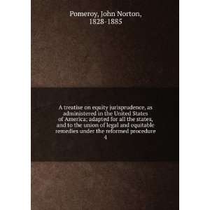   under the reformed procedure. 4 John Norton, 1828 1885 Pomeroy Books