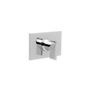 Newport Brass Rectangular Thermostatic Trim Plate Only with Lever 
