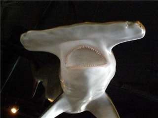   Hammerhead Shark fish Replica 3/D Full MOUNT Real Teeth and Fierce