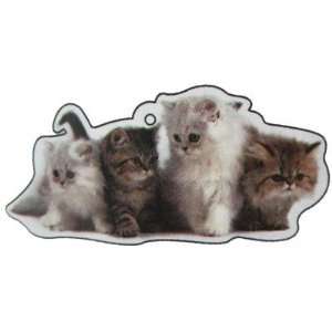  Air Freshener 3 Pack Kittens