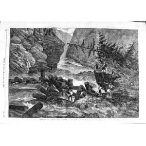 1863 CANADIAN LUMBER TRADE LOGS RIVER TREES FINE ART 