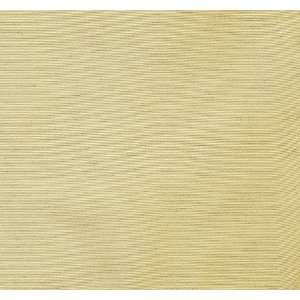  2629 Sylvan in Champagne by Pindler Fabric