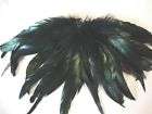 20 TURQUOISE ROOSTER FEATHERS COQUE TAILS FEATHERS items in The 