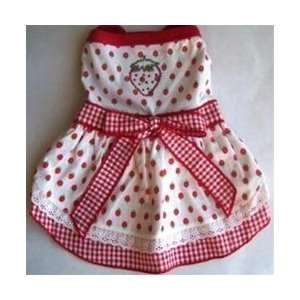  Strawberry Shortcake Suprise Sundress