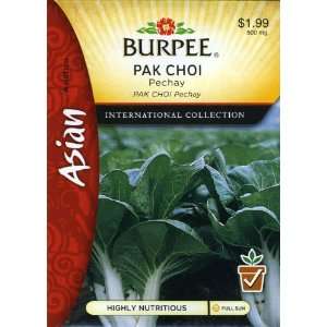  Burpee 69629 Asian   Cabbage, Chinese Pack Choi, Pechay 
