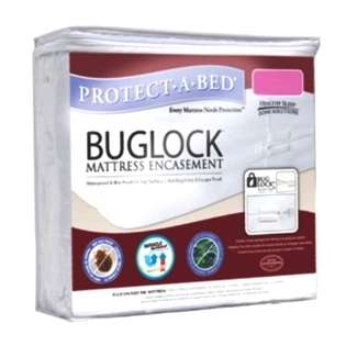  Protect a Bed Bug Lock Queen size Economy Encasement at 