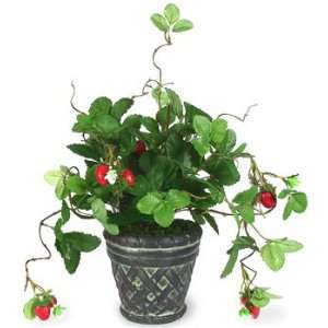   FLORAL COLLECTION Potted Silk Strawberry Plant 19