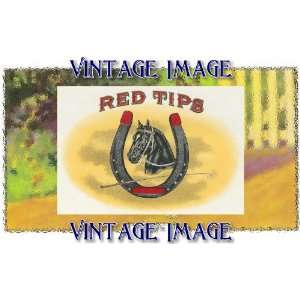   ) Acrylic Fridge Magnet Horses Red Tips Vintage Image