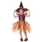   Witch Toddler / Child Costume / Black/Purple   Size Small (4 6