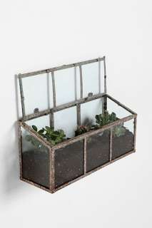 UrbanOutfitters  Glass Terrarium