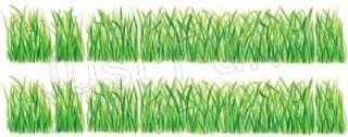 Grass ~ Tatouage   See FREE SHIP OFFER*  