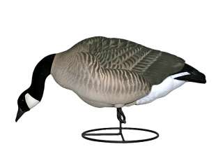 Dakota Decoy Company Premium Canada Goose Gunning Decoys
