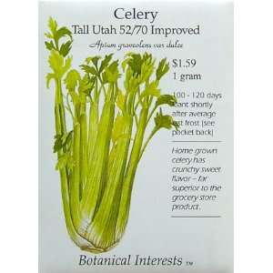  Celery Tall Utah Improved Seeds 250 Seeds Patio, Lawn 