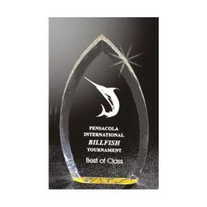  Oval Acrylic Award Pointed Top (Small)