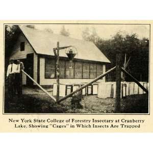  1920 Print Forestry Insectary Cranberry Lake College 