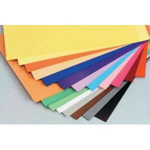  Folia Colored Papers   60#   8 1/4 x 11 3/4   20 COLORS 