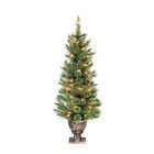  Christmas Tree Man BOWO999321AC5 Potted Prelit Cashmere Tree 3 ft