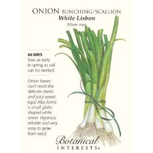  Bunching Onion / Scallion Seeds Patio, Lawn & Garden