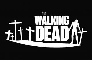 The Walking Dead Zombie Die Cut Decal Vinyl Sticker   6.75  