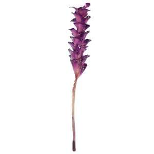  Enameled Purple Ginger Floral Decor Stalk