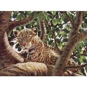  Serengeti Leopard   Don Balke