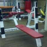 Icarian Oympic Flat Bench Model 408  