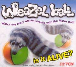 24 WHOLESALE Alive? Weasel Weazel Ball Pet Cat Dog Toy 0051363803784 