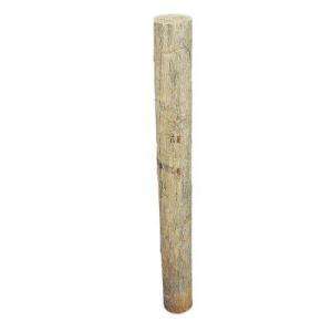 In. X 6 In. X 8 Ft. Pressure Treated Pine Ag Post N0600854 at The 
