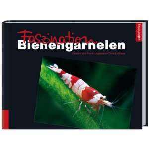 Faszination Bienengarnelen  Carsten Logemann, Frank 