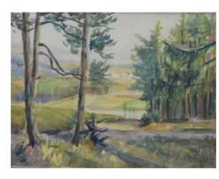 AQUARELL HANS JOACHIM STENZEL WALDRAND in Bayern   Fürth  Kunst 