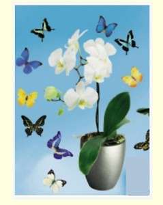 Wandtattoo 12T 11x Schmetterling + Orchidee Wallsticker  