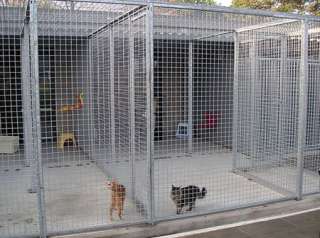 Doghealth galvanised dog run panels all specifications  