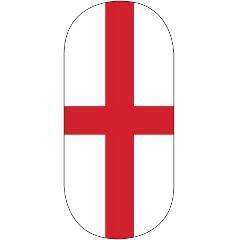 MINX Armour St George Cross Fingernail Nail Decals CND  