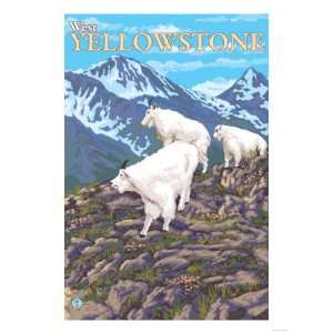 Mountain Goats Scene, West Yellowstone, Montana Giclee Poster Print 