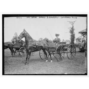  Photo Mrs. Sophie Gummey in horse drawn hack, drawn by 