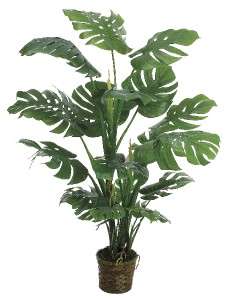 Two 5 Ft Split Leaf Philodendron Artificial Silk Plants  