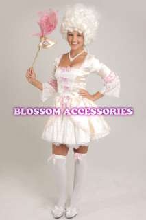Pink Marie Antoinette Renaissance Masquerade Ball Fancy Dress 