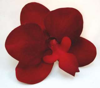 Dark Red Velvet Orchid Hair Flower Clip  