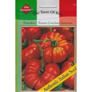  Costoluto Genovese Tomato (Pomodoro)   450 Seeds Patio 