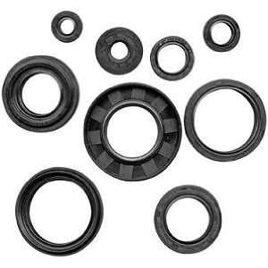  QuadBoss Oil Seal Set 822201 Automotive