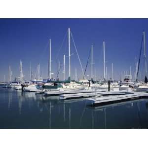  Channel Islands Marina, Oxnard, California, USA Premium 